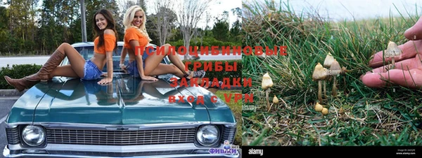 а пвп мука Новодвинск